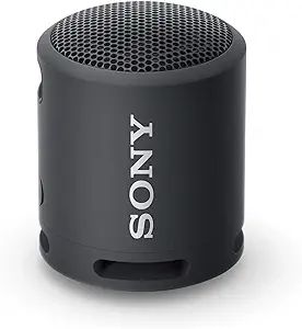 Sony SRS-XB100 Wireless Bluetooth Portable Lightweight Super-Compact Travel Speaker, Extra-Durable IP67 Waterproof & Dustproof, 16 Hour Battery, Versatile Strap, and Hands-Free Calling, Orange New