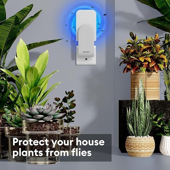 Fly Trap Indoor(1 Device + 5 Glue Cards), Plug-in Flying Insect Trap for Mosquito, Flies, Fruit Flies, Moths, Gnats, Gnat Trap for House Indoor, White